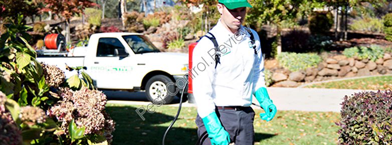 services of control pest local cost