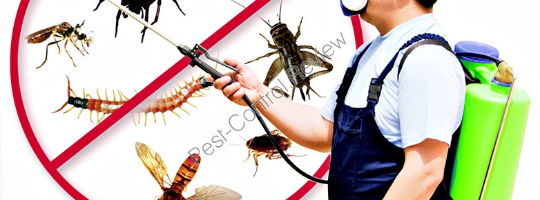 pest control in food preparation areas
