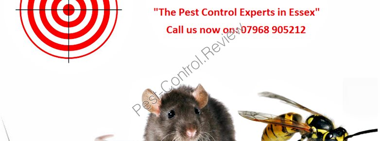 pest control ross on wye