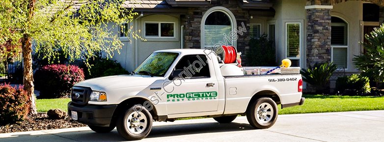 residential pest control company