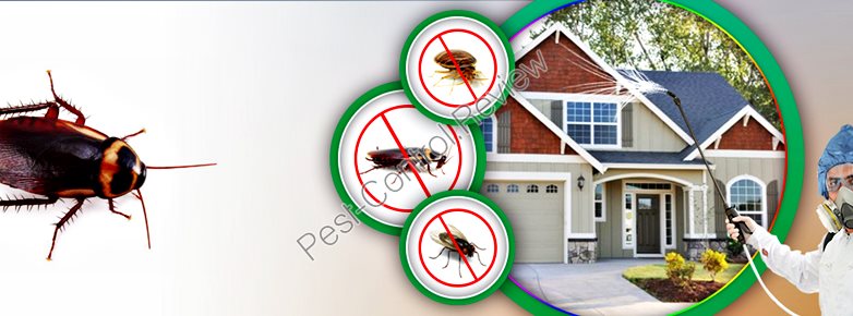 bugs pest price control bed kent