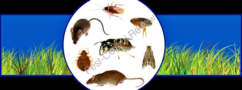 pest penang services control