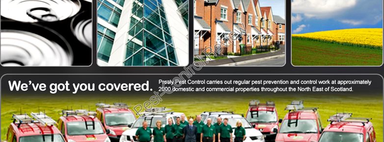 pest control for business