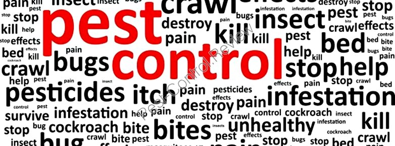how to pest company find the control best