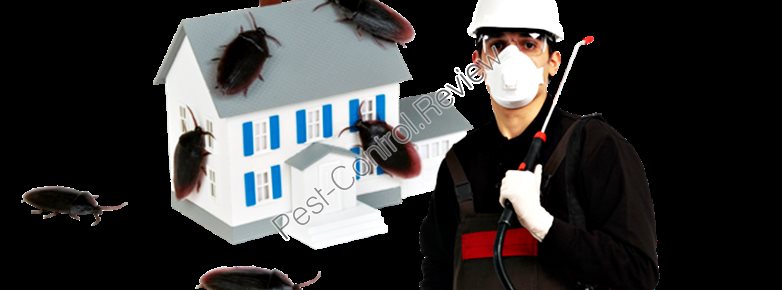 pest control logo vector