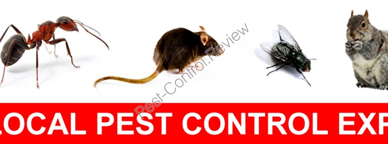control caterham a1 pest