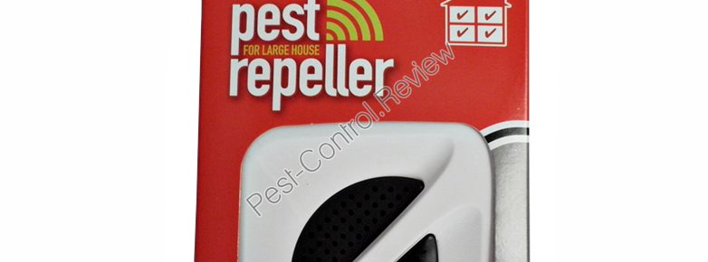 services control flea pest