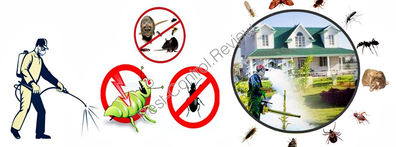 pest control lakewood wa