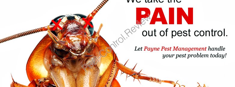annual cost pest control