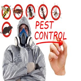 mid sussex council pest control