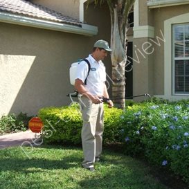 pest control local recommended guildford