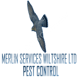 pest control broadstairs