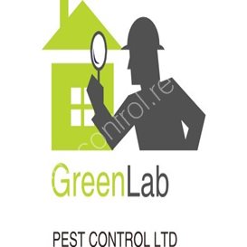 belfast pest control companies