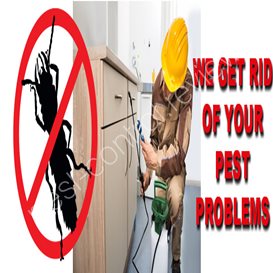 west lancs district council pest control