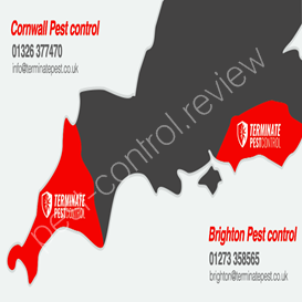 bournemouth borough council pest control