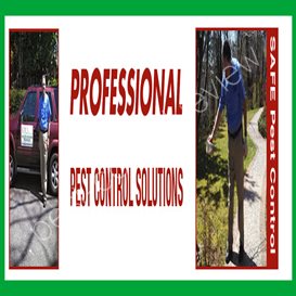 instakill pest control southend on sea essex