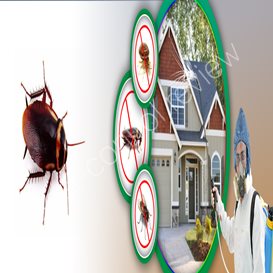 pest control clause tenancy