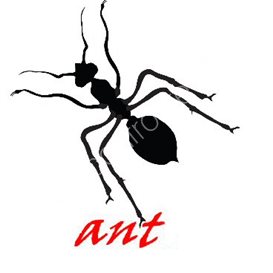 pest control business card ideas