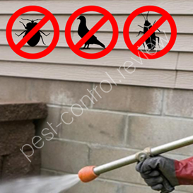 wirral pest control wasps