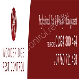 pest control direct products