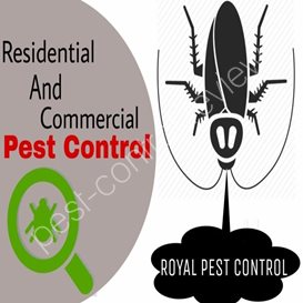 simple pest control