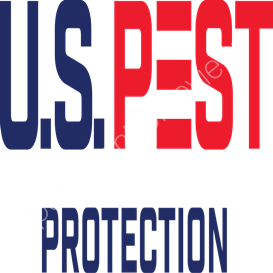 solutions pest control east leake