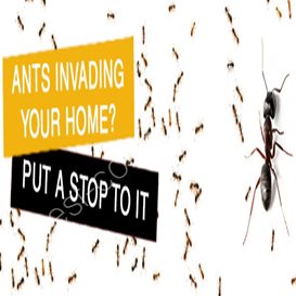 what is pest control