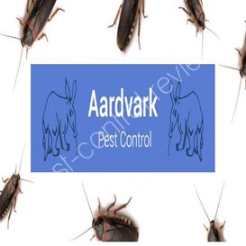 pest control companies in dundee