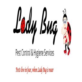 pest control kissimmee