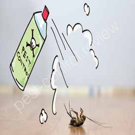 is pest control a safe death