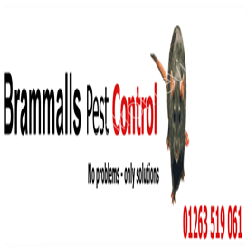 florida pest control companies