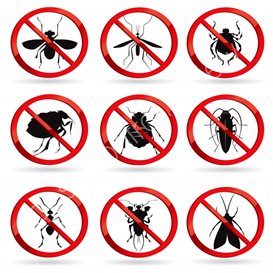 pest control company in penang