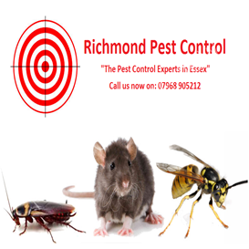 pest control ascot