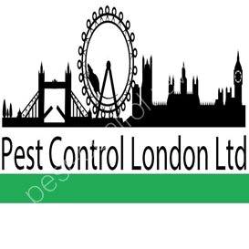 bug out pest control