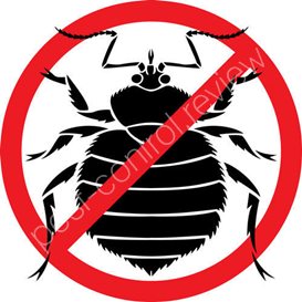 free pest control quotes london