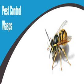 what is pest control services