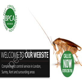where to shoot coventry pest control