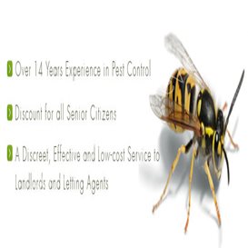 top rated pest control companies
