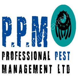 traditional pest control