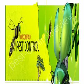 bugman pest control