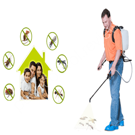 how much does it cost to get pest control