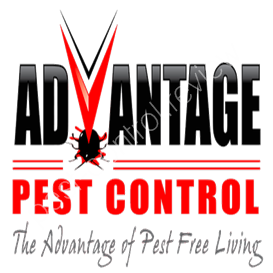 aerex pest control