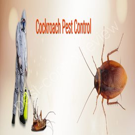 test valley borough council pest control