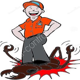 do it yourself pest control store clearwater fl