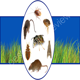 buy pest control products