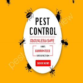 pest control policy for food industry