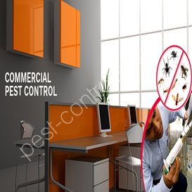 pest control service agreement pdf