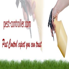 pest control hu17