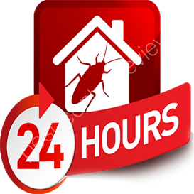 bed bug pest control companies
