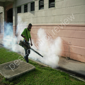 accurate pest control fort myers